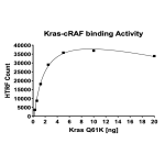 Kras Q61K–cRAF Binding Assay Kit